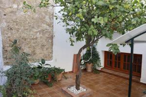un albero nel cortile di una casa con piante di Preciosa casa en Carratraca a Carratraca