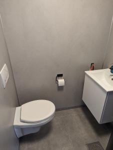 a bathroom with a white toilet and a sink at Nydelig hytte med fantastisk beliggenhet ved sjøen in Laupstad