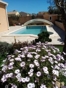 a garden with purple flowers in front of a swimming pool at 2 Chambres avec piscine et spa au calme, mer à proximité. in Portiragnes