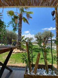 un jardín con una mesa y algunos árboles y una palmera en Rancho Tropicana, en Elche