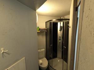 a small bathroom with a shower and a toilet at Aux deux amis in Stavelot