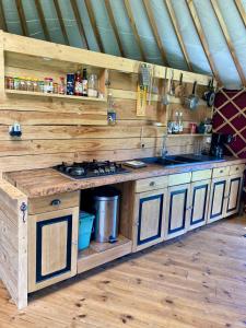 a kitchen with a stove and a counter top at Yourte tout confort éco-responsable in Saint-Pierre-Eynac