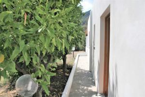 Gallery image of Casa Cavalluccio Marino - terrazza vista mare in Santa Marina Salina +19 photos