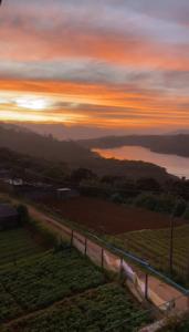 努沃勒埃利耶Villa Crosswinds Nuwara Eliya的落日,在有栅栏和道路的田野上