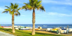 duas palmeiras e barcos na praia em La Parada Beach em Torre de Benagalbón
