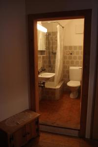 W łazience znajduje się toaleta, umywalka i prysznic. w obiekcie Chasa Campell w mieście Ardez