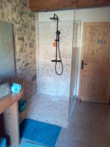 a shower in a bathroom with a glass door at Gite Le Turquoise in Saint-Cirgues-en-Montagne