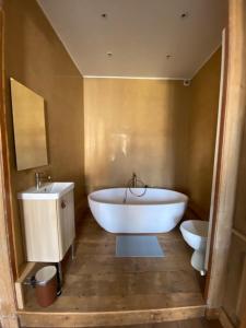 ein Badezimmer mit einer großen weißen Badewanne und einem WC in der Unterkunft VICTOR HUGO in Amiens