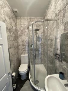 uma casa de banho com um chuveiro, um WC e um lavatório. em Modern Sea View Apartment em Margate