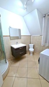 ein Bad mit einem Waschbecken und einem WC in der Unterkunft Le corail - Centre - Gayant - Gare in Douai