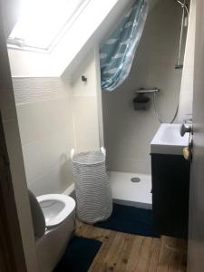 ein kleines Bad mit WC und Waschbecken in der Unterkunft Petite maison bretonne P'ty Penty in Plougastel-Daoulas