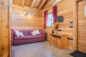 a living room with a couch and a tv at Chalet Camping Faè 1 in Madonna di Campiglio
