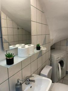 a bathroom with a sink and a washing machine at Ioannina Suburban Comfort Hideout in Neochorópoulon