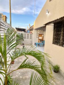 ein Haus mit einer Terrasse mit Pflanzen davor in der Unterkunft The Nest Haven Hostel in Daressalam