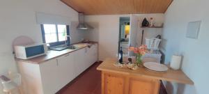 uma cozinha com uma bancada e um micro-ondas em Estudio los cipreses em Breña Alta