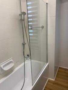 een douche met een glazen deur in de badkamer bij OASI ZEN VARESE - Tra laghi e monti - in Varese