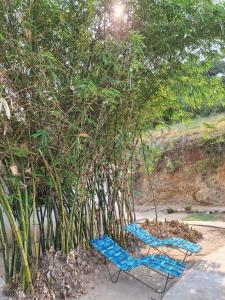 dos sillas colgantes azules sentadas bajo un árbol en La Cabaña ideal para la desconexión en Barquisimeto