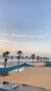 uma vista para uma praia com uma piscina e palmeiras em Complexe Hôtelier Sabah em Nouakchott