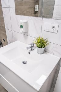 A bathroom at Paquesito Home