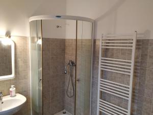 a bathroom with a shower and a sink at Lacul de Argint in Podoleni