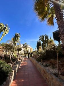 Vonkajšia záhrada v ubytovaní Jardin Botánico
