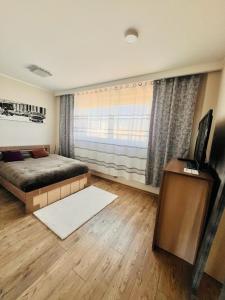 sypialnia z łóżkiem i telewizorem w obiekcie MICKA 25 w mieście Skarżysko-Kamienna