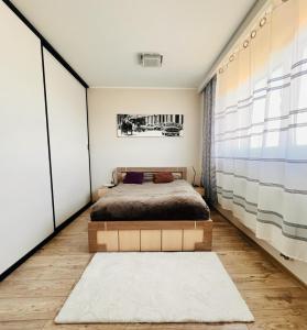 1 dormitorio con 1 cama y una pared grande en MICKA 25, en Skarzysko-Kamienna