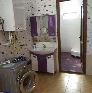 y baño con lavabo y lavadora. en Qabala_Renting_houses near the mountain en Gabala