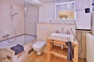 a bathroom with a sink and a shower and a toilet at Ferien im Baudenkmal Toggenburg in Krummenau