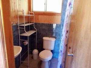 a small bathroom with a toilet and a sink at Parcela Peumayen in Licán Ray