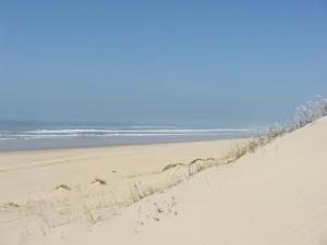 a sandy beach with the ocean in the background at Les Flots Bleus in Andernos-les-Bains +12 photos