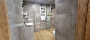 un bagno con doccia e WC di Hotel Ushba in Mestia a Mestia