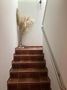 Fotografie z fotogalerie ubytování Gästehaus Windflüchter v destinaci Breege