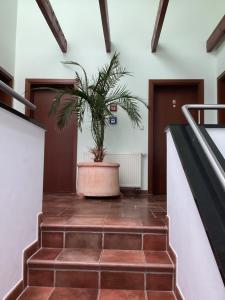 Fotografie z fotogalerie ubytování Gästehaus Windflüchter v destinaci Breege