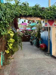 an entrance to a garden with umbrellas and plants at Posada Amaripucci in San Andrés