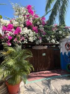a wooden fence with pink and white flowers on it at Posada Amaripucci in San Andrés