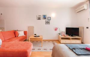 TV a/nebo společenská místnost v ubytování Apartment Antonija