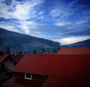 un edificio con il tetto rosso e una montagna sullo sfondo di Guest House Mountain a Bukovel