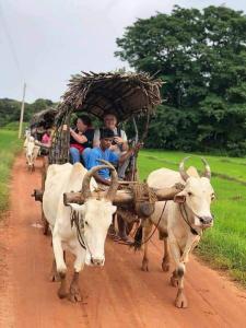 哈巴拉娜的住宿－Jo Jo Family Resort，相簿中的一張相片