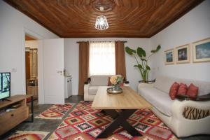 TV in/ali zabaviščno središče v nastanitvi Guest House Bashaj Village