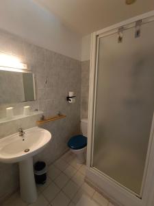 La salle de bains est pourvue d'une douche, d'un lavabo et de toilettes. dans l'établissement La cocotte normande, à Coudeville-sur-Mer
