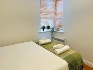 um quarto com uma cama com duas almofadas em Cosy River View Flat at Temple Bar em Dublin