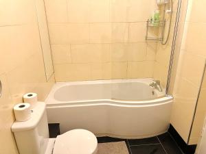 uma casa de banho com uma banheira branca e um WC. em Cosy River View Flat at Temple Bar em Dublin
