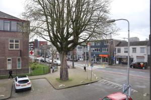 drzewo na ulicy miejskiej z zaparkowanymi samochodami w obiekcie Knus appartement Tilburg w mieście Tilburg