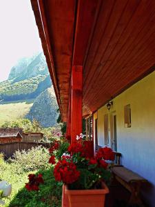 a porch with flowers on the side of a house at Vigh vendégház in Rimetea