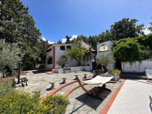 Κήπος έξω από το Villa Eddy