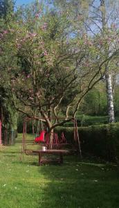 a park bench with a tree with pink flowers at Apartman Oaza Olja in Belgrade
