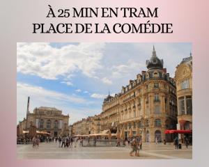 Fotografia z galérie ubytovania T2 Prestance Montpellier Proche Plage Parking v destinácii Montpellier
