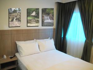 a hotel room with a bed and a window at Hotel Zamay Gaira in Santa Marta