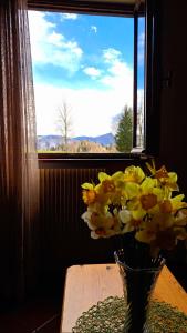 a vase of flowers on a table in front of a window at Casa Costa - Residenze Bucaneve in Tonezza del Cimone +29 photos